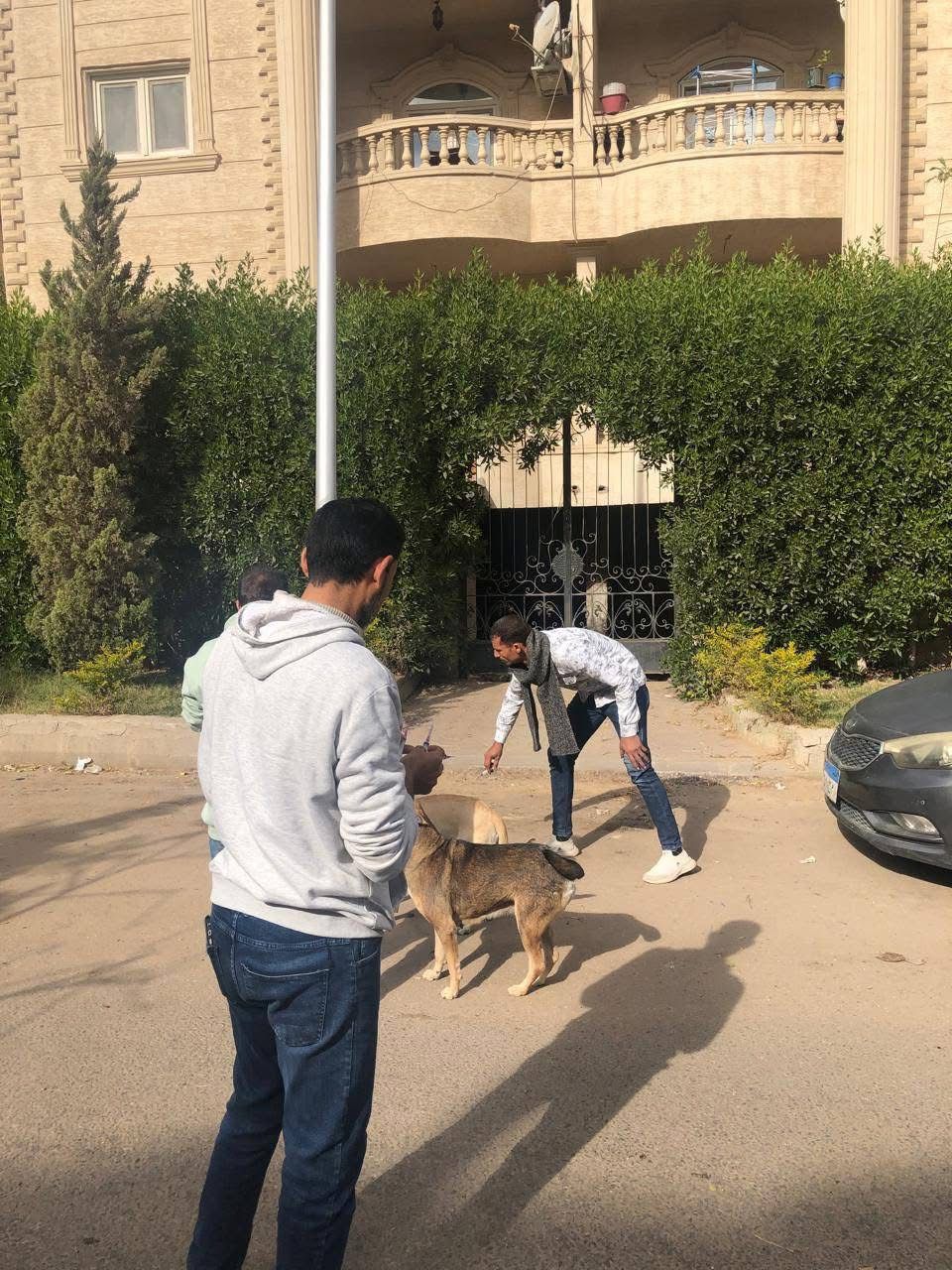 262466-خلال-الحملات-بالعبور