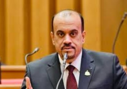 النائب إيهاب إمام