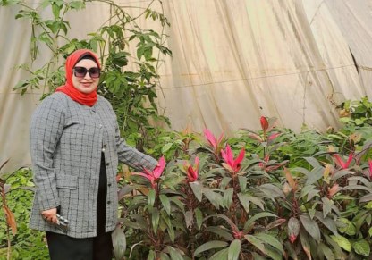 صورة موضوعيه