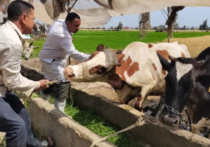 تحصين الحيوانات 
