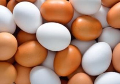 سعر طبق البيض بالقليوبية اليوم السبت 25 - 4 - 2026.. الأبيض بـ 100 جنيه