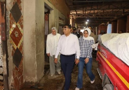  الدكتور المهندس حسام عبد الفتاح