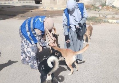 تطعيم الكلاب فى العبور