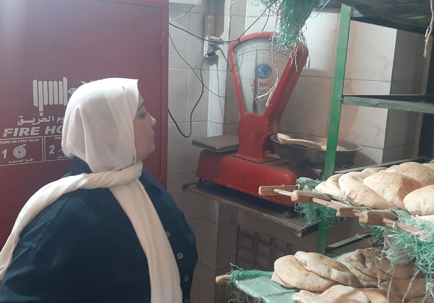 حملات القليوبية