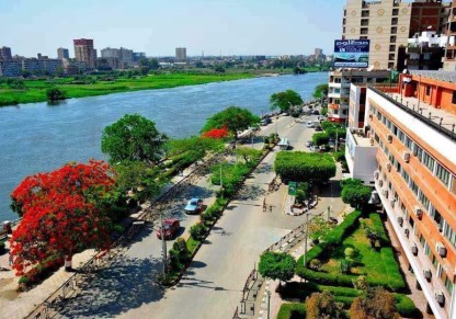 بنها العسل 