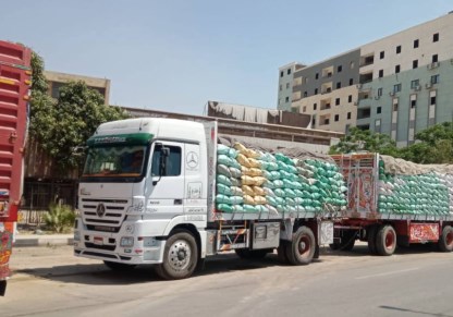 توريد القمح