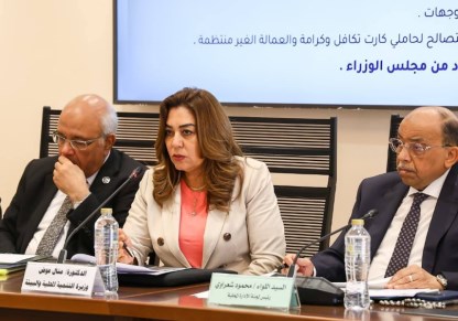 وزارة التنمية المحلية 