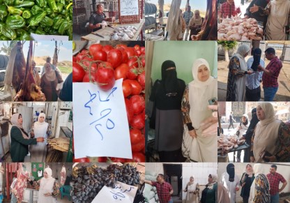 تموين القليوبية 
