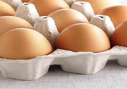 أسعار كرتونة البيض اليوم