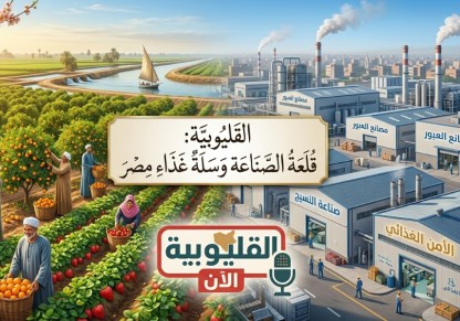 القليوبية: قلعة الصناعة وسلة غذاء مصر في قلب القليوبية الآن
