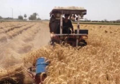 الماكينة اللهلوبة في الحصاد