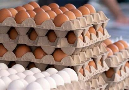 أسعار البيض اليوم