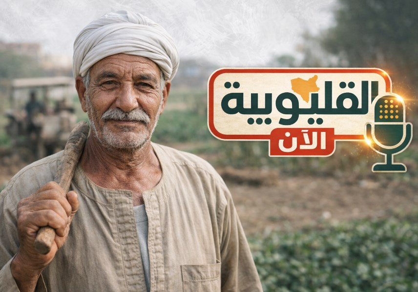 القليوبية 