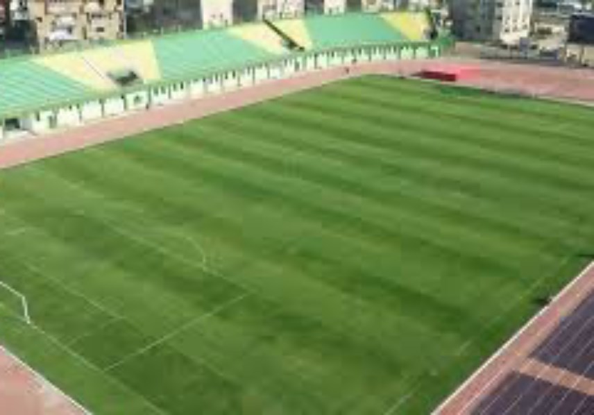 استاد بنها 