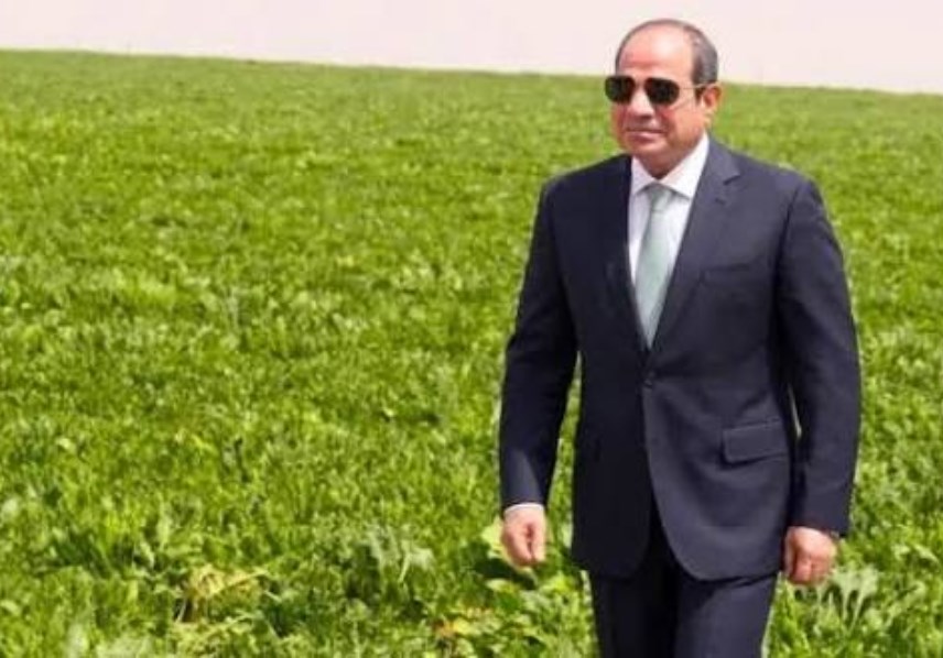 الرئيس السيسي 