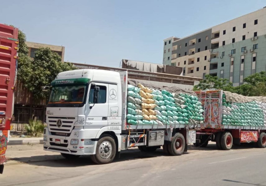 توريد القمح