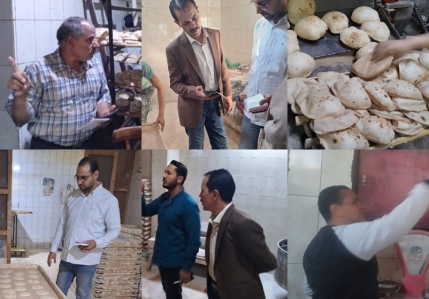 تموين القليوبية 