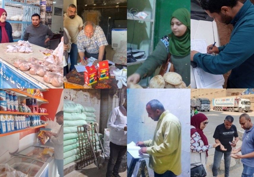 تموين القليوبية 