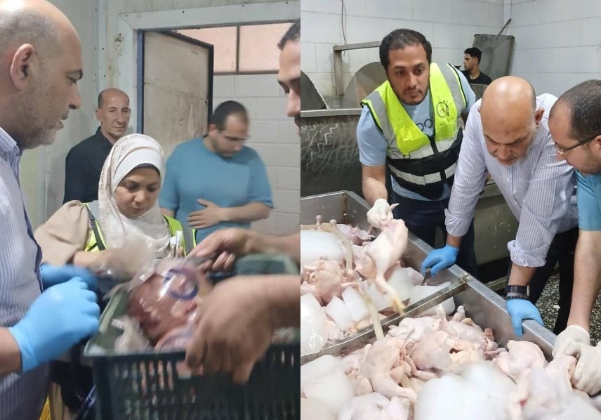 مديرية الطب البيطري بالقليوبية 