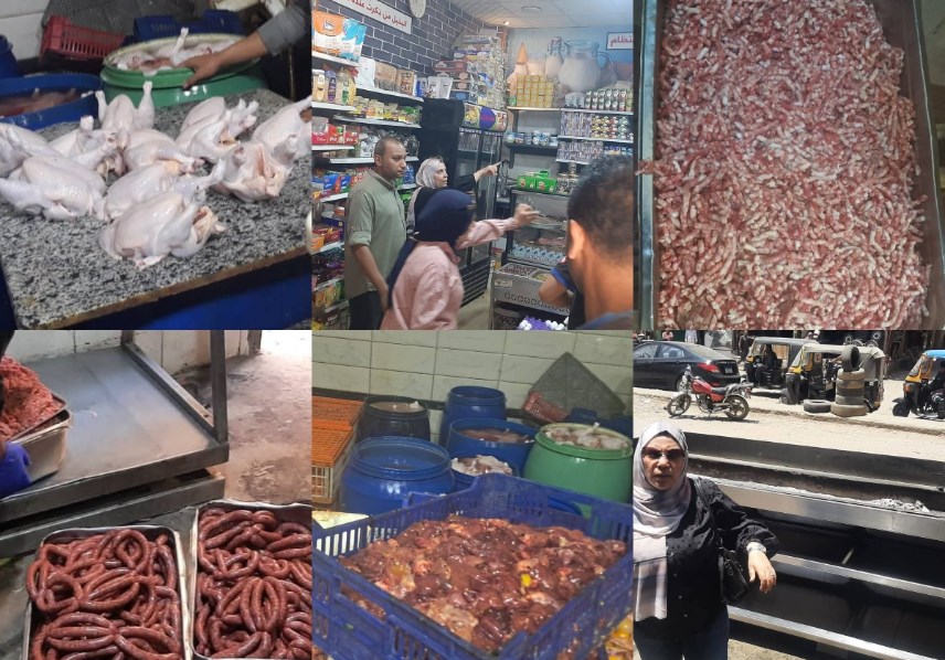 تموين القليوبية 