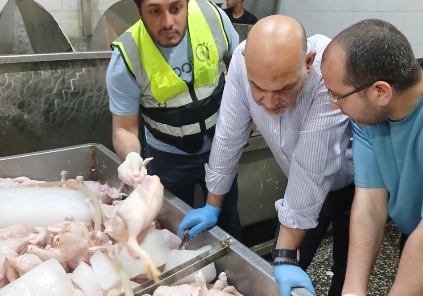 ضبط الدواجن الفاسدة