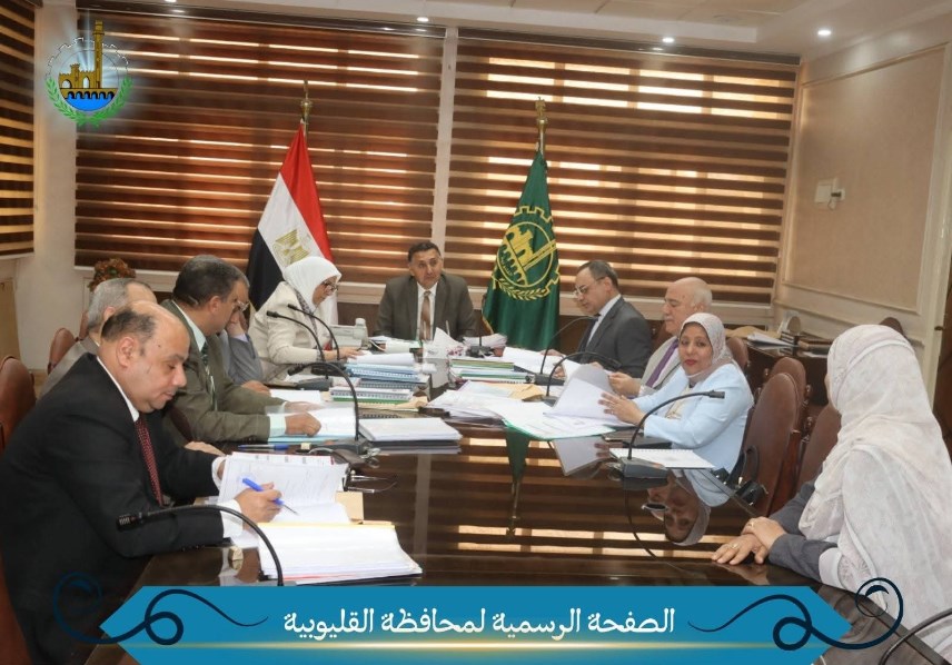 محافظ القليوبية 