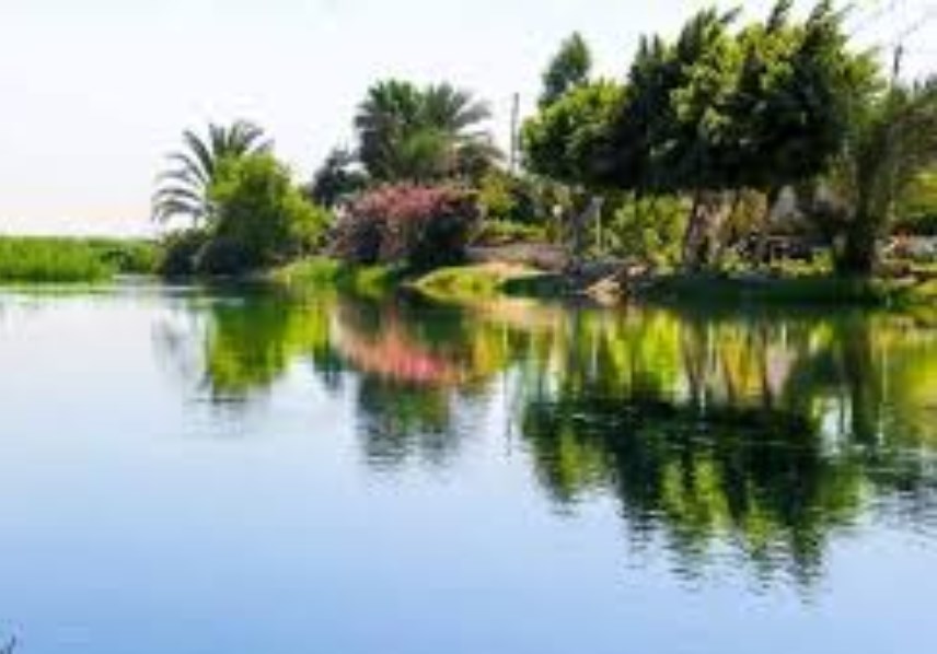 قرية كفر الحصافة قرية تحمل ذاكرة الأرض والعقل في طوخ