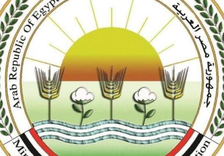 جمهورية مصر العربية