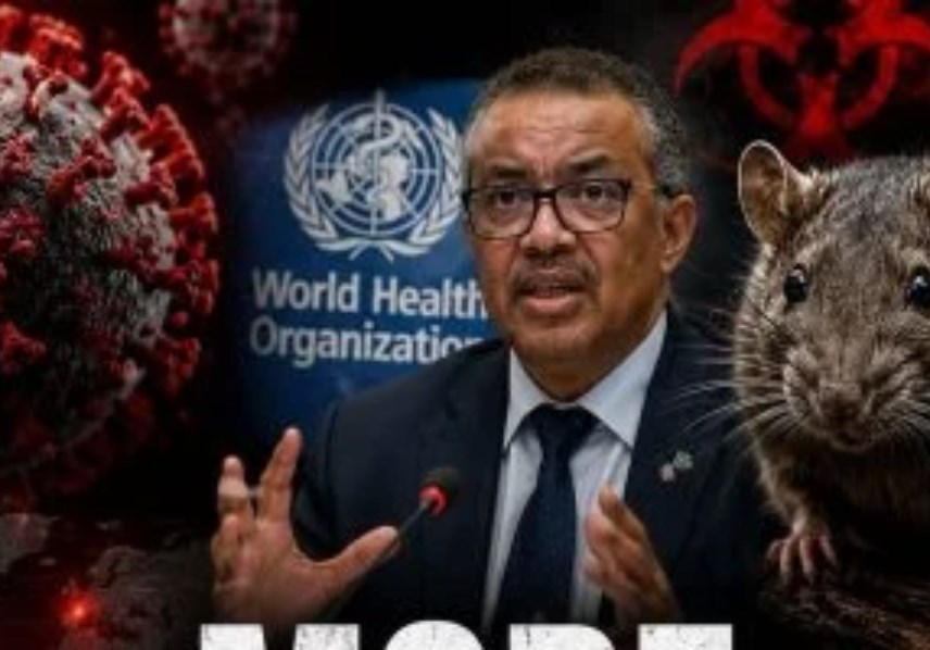 فيروس هانتا