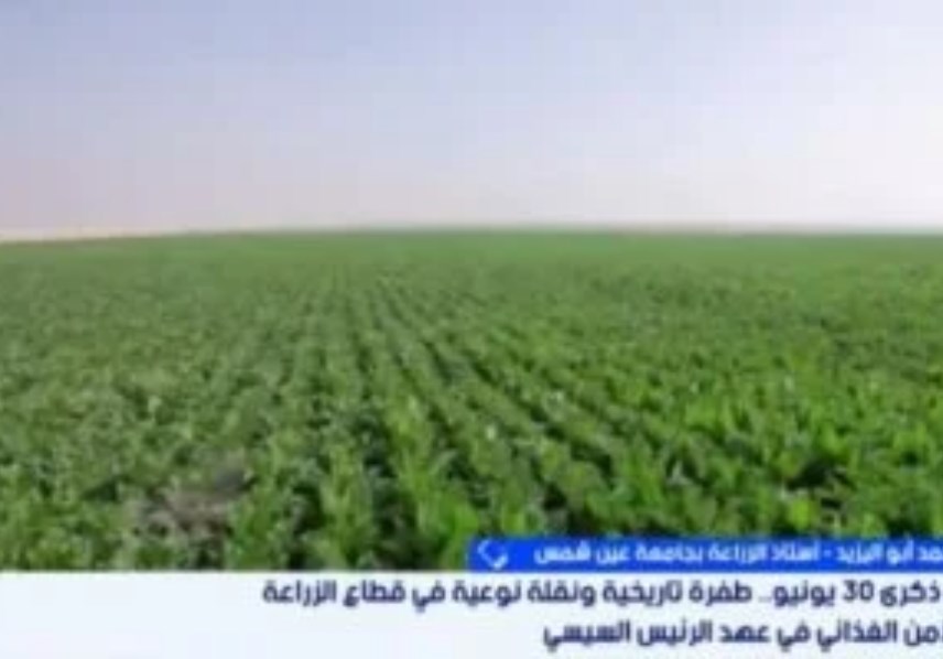 جانب من المداخلة