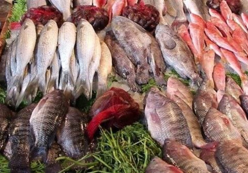 اسعار السمك