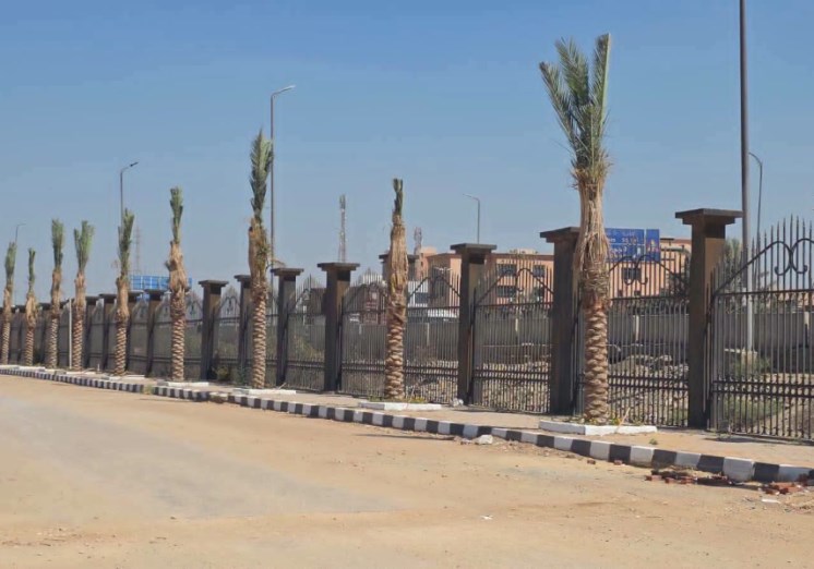 أشجار  مثمرة داخل الحرم الجامعي 
