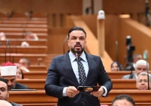 النائب محمد مجاهد 