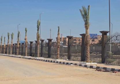 أشجار  مثمرة داخل الحرم الجامعي 