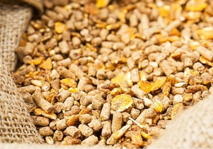 أسعار الأعلاف اليوم