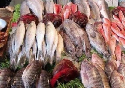 قطاع الاسماك