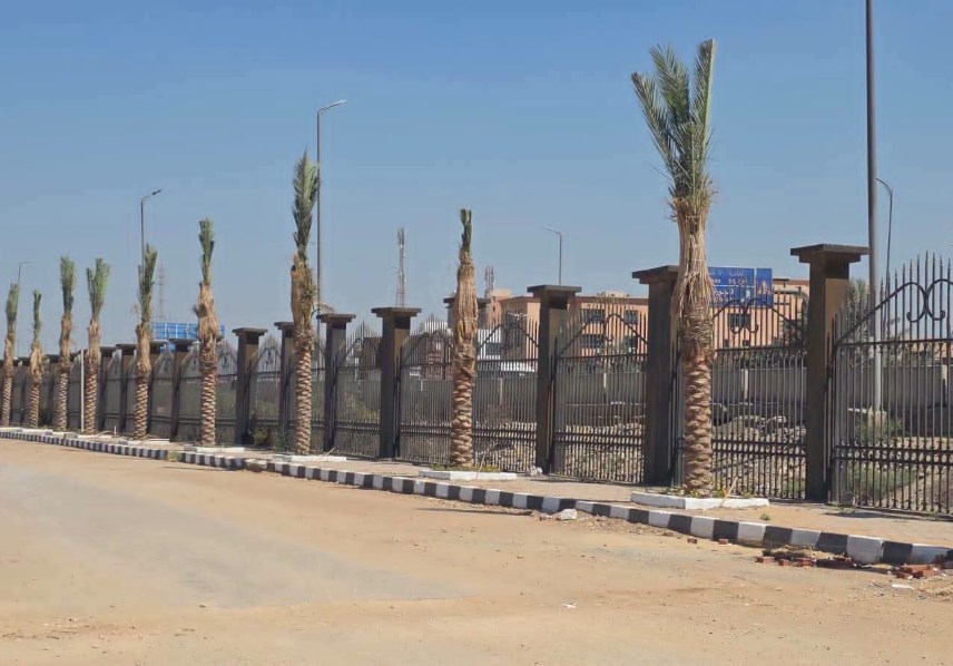 أشجار  مثمرة داخل الحرم الجامعي 