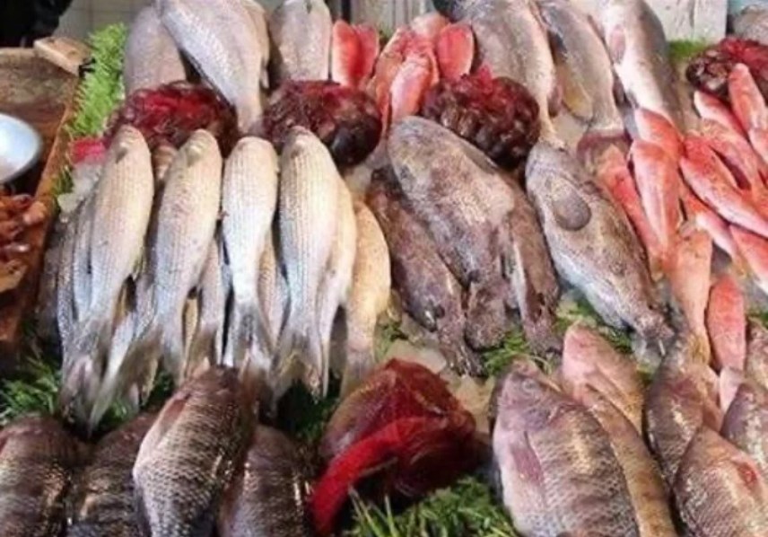 قطاع الاسماك