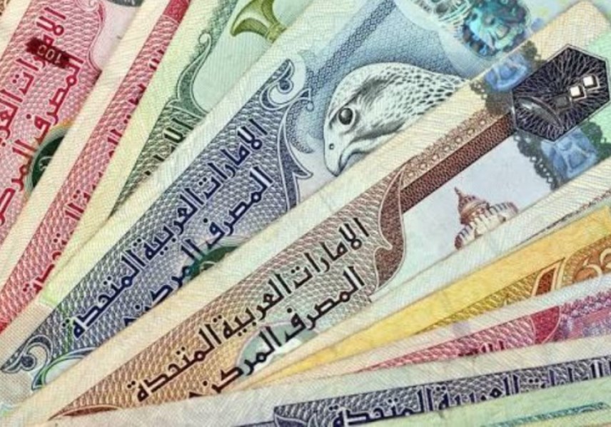 الدرهم الإماراتي
